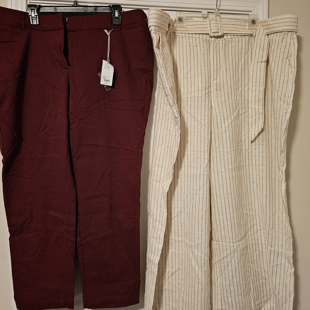 2 Pair Lane Bryant Pants 24S